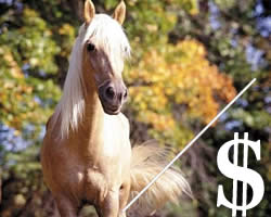 Стоимость лошади