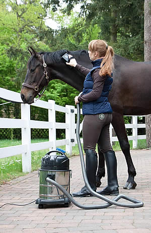 Девушка чистсит пылесосом лошадь