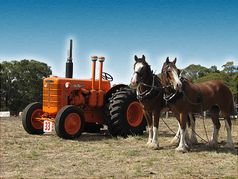 лошади и трактор