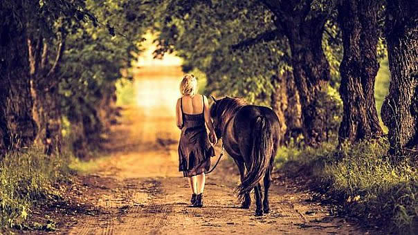 девушка ведёт лошадь по лесной тропинке